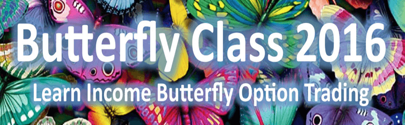 Dan Sheridan – Butterflies for Monthly Income 2016