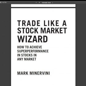 Download Mark Minervini - Trade Like a Stock Market Wizard