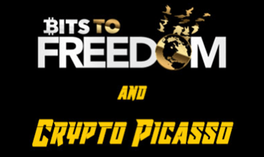 Download Crypto Picasso Bits to Freedom Video Course